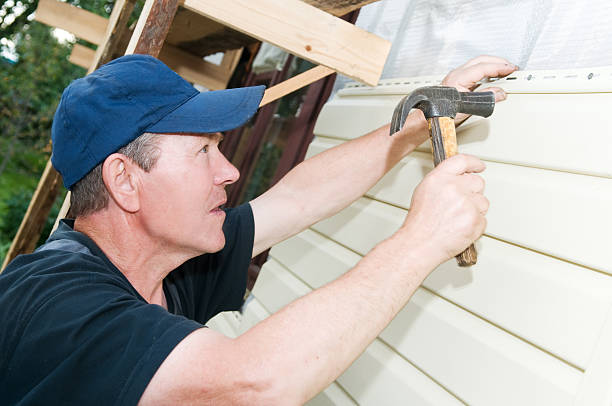 Best Custom Trim and Detailing for Siding  in Caryville, TN