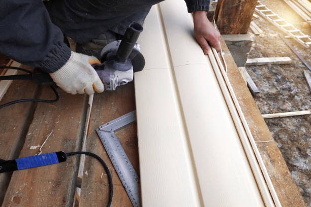 Best Historical Building Siding Restoration  in Caryville, TN