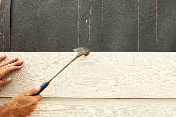 Best Steel Siding Installation  in Caryville, TN